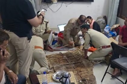 Tiger skin found in Tribal Assistant Commissioner's house during EOW raid, Forest Department is investigating