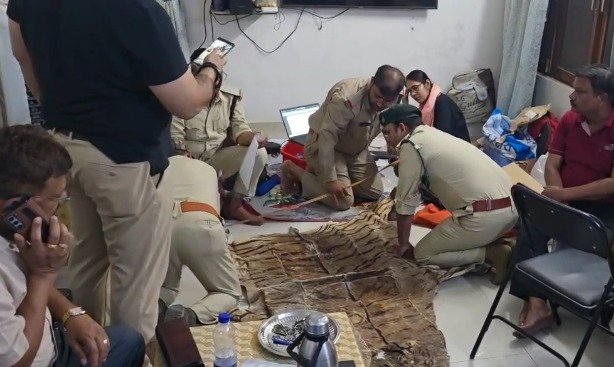 Tiger skin found in Tribal Assistant Commissioner's house during EOW raid, Forest Department is investigating