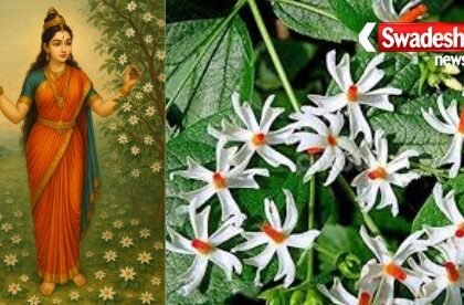 why-parvati-loves-harsingar-flower
