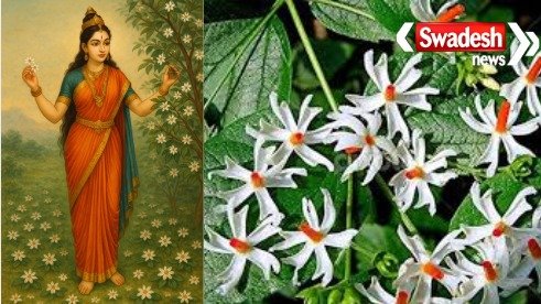 why-parvati-loves-harsingar-flower