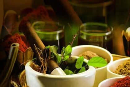 दुनिया की पहली पारंपरिक चिकित्सा AI लाइब्रेरी: भारत ने रचा इतिहास, WHO ने की सराहना