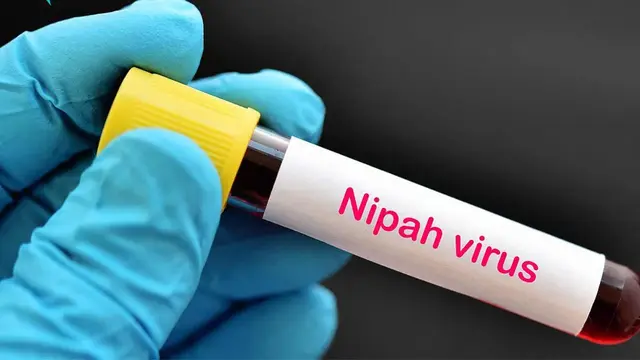 केरल में निपाह वायरस से दूसरी संदिग्ध मौत, सरकार ने बढ़ाई निगरानी और जारी किया हाई अलर्ट
