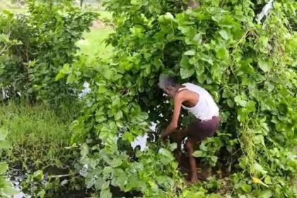 80 लाख की फिरौती के लिए 8 साल के बच्चे की हत्या: आगरा से अपहरण, धौलपुर में मिला शव