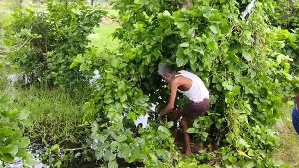 80 लाख की फिरौती के लिए 8 साल के बच्चे की हत्या: आगरा से अपहरण, धौलपुर में मिला शव