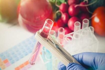 ग्वालियर में फूड लैब की देरी और भोपाल से रिपोर्ट लापता: मिलावट रोकने में नाकाम सिस्टम