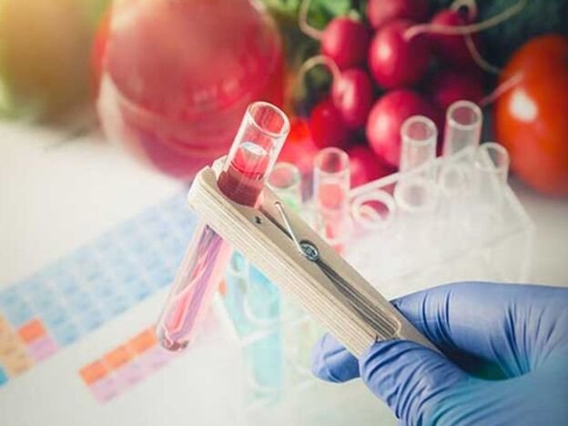 ग्वालियर में फूड लैब की देरी और भोपाल से रिपोर्ट लापता: मिलावट रोकने में नाकाम सिस्टम