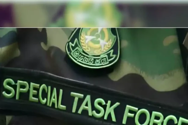 मेरठ में 48 करोड़ की जीएसटी चोरी का खुलासा: STF ने फर्जी फर्म रैकेट पकड़ा