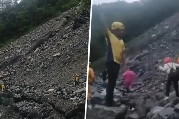 भारी बारिश के बीच केदारनाथ मार्ग पर भूस्खलन, 40 श्रद्धालु फंसे, SDRF ने रातभर चलाया रेस्क्यू ऑपरेशन
