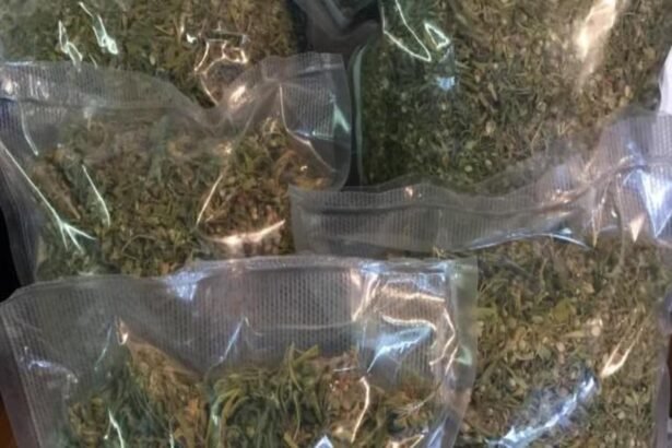 ठाणे गांजा बरामद