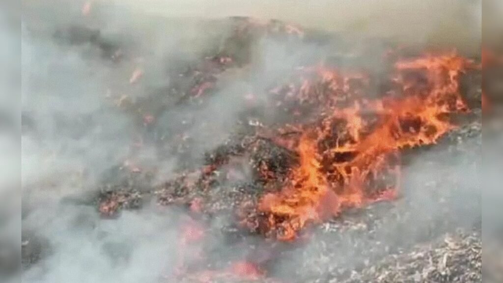 भोपाल तिरंगा जलाने की घटना