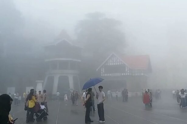 हिमाचल बारिश खबर