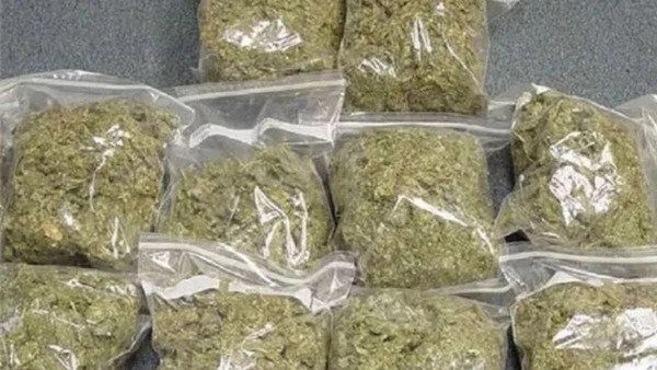 ग्वालियर में गांजा तस्करी पर बड़ी कार्रवाई | 12 किलो गांजा बेचने वाले को 5 साल जेल