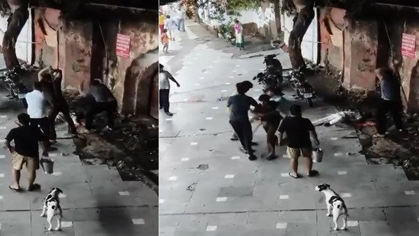 Delhi: कालकाजी मंदिर में प्रसाद को लेकर विवाद, सेवादार की पीट-पीटकर हत्या; Video Viral