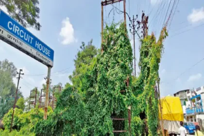 छत्तीसगढ़ की 25 बड़ी खबरें (6 अगस्त 2025)