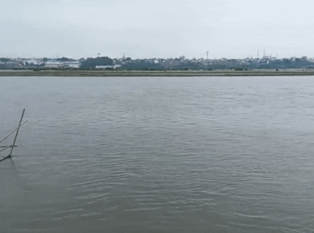 आगरा में यमुना का जलस्तर खतरे के निशान से 4.5 फीट नीचे, गोकुल बैराज से छोड़ा 45 हजार क्यूसिक पानी