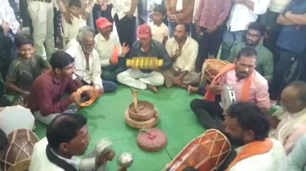 Rajim: On Rishi Panchami, a unique tradition of worshiping and protecting snakes in Deori village