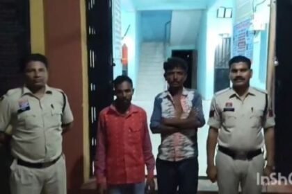 Dhamtari: Illegal cattle smuggling busted, 2 accused arrested, 4 cattle recovered