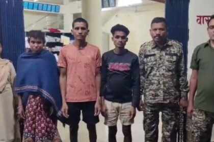 Bijapur: 3 Maoists arrested from the forests of Peddakorma and Bodla Pusnar