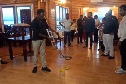 Korba: Snake came out from AC in the canteen of Satrenga tourist spot
