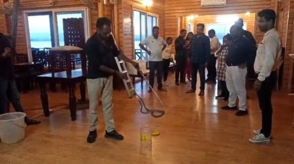 Korba: Snake came out from AC in the canteen of Satrenga tourist spot