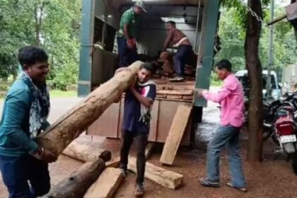 Forest department's big action on Gariaband border