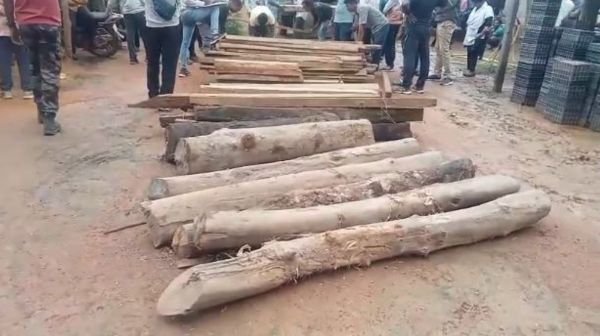 Gariaband: Precious wood smuggling exposed in Udanti Sitanadi Reserve