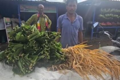 Gariaband: On the lines of Odisha, 80 thousand families celebrated Nava Khai festival with great pomp