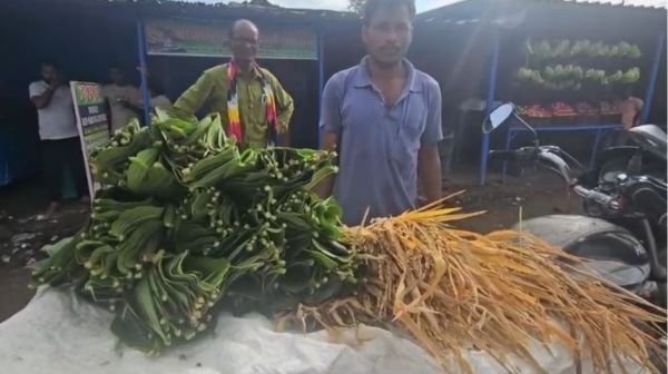Gariaband: On the lines of Odisha, 80 thousand families celebrated Nava Khai festival with great pomp