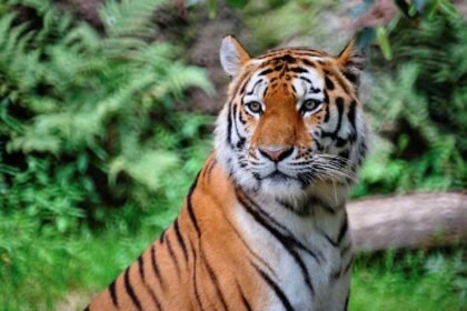 झारखंड की 25 बड़ी खबरें: 3 अगस्त 2025