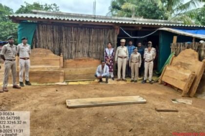 Forest department's big action: Manufacture of furniture from illegal bija wood