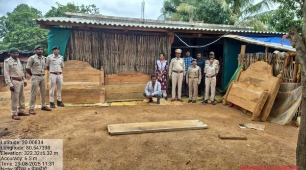 Forest department's big action: Manufacture of furniture from illegal bija wood