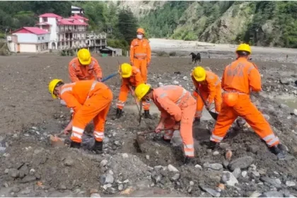 हिमाचल में भारी बारिश से हाहाकार: 398 सड़कें बंद, शिमला में पेड़ गिरने से गाड़ियां क्षतिग्रस्त