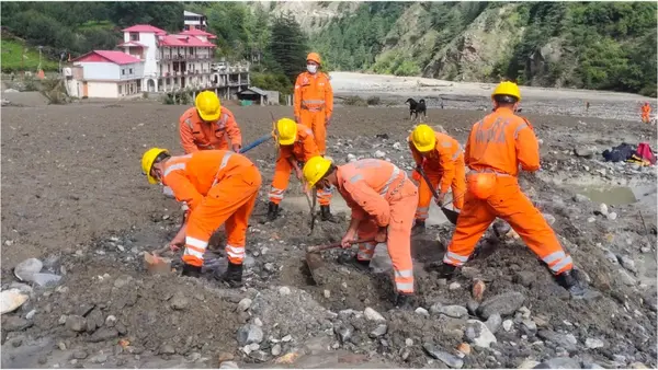 हिमाचल में भारी बारिश से हाहाकार: 398 सड़कें बंद, शिमला में पेड़ गिरने से गाड़ियां क्षतिग्रस्त