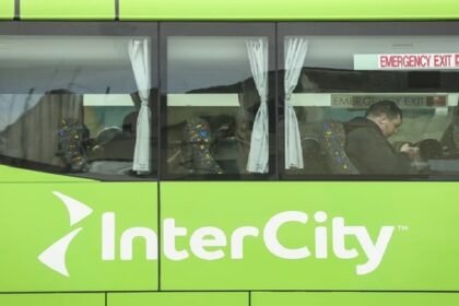 न्यूजीलैंड में इंसानियत शर्मसार: बस के सूटकेस से जिंदा मिली 2 साल की बच्ची, महिला गिरफ्तार