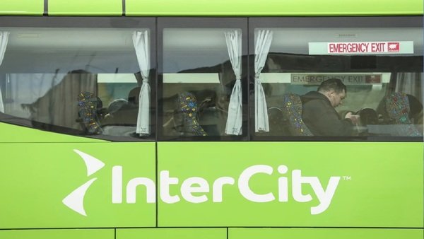 न्यूजीलैंड में इंसानियत शर्मसार: बस के सूटकेस से जिंदा मिली 2 साल की बच्ची, महिला गिरफ्तार