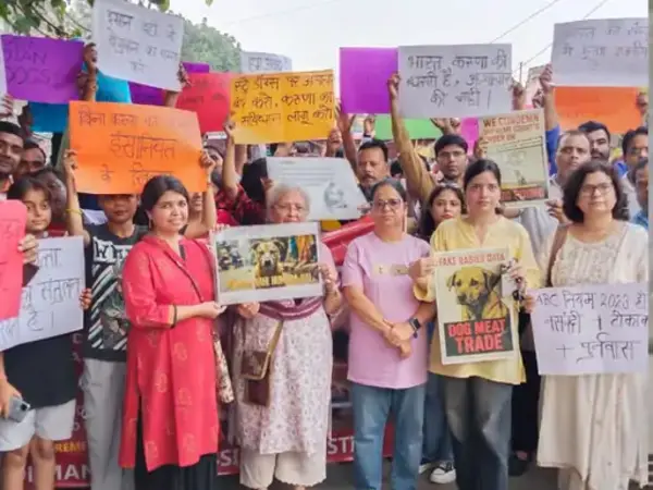 आगरा में डॉग लवर्स का पैदल मार्च: सुप्रीम कोर्ट आदेश के खिलाफ विरोध, कहा- पशु क्रूरता बंद करो
