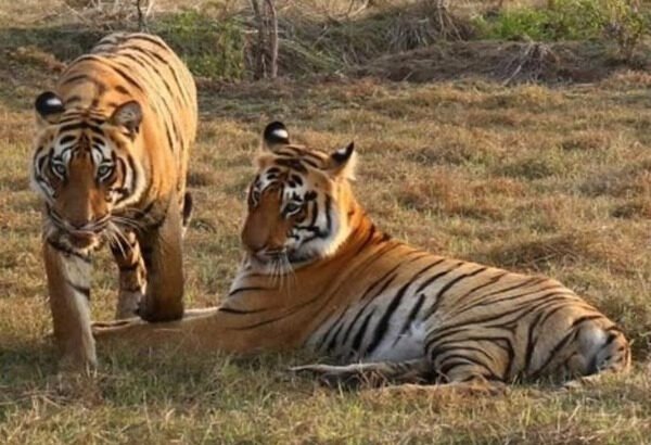 झारखंड की 10 बड़ी खबरें: 25 सितंबर 2025