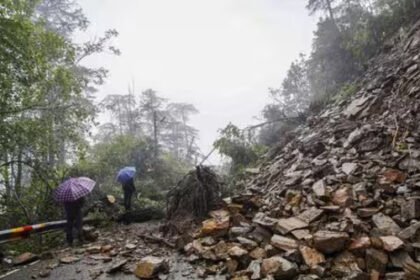 उत्तर भारत में भारी बारिश और बाढ़ का कहर: हिमाचल में लैंडस्लाइड, पंजाब-हरियाणा में फसलें और घर डूबे
