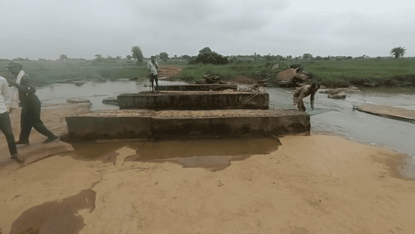 मऊगंज: सड़क और पुल अधूरा, बच्चे और शिक्षक खुद बना रहे रास्ता