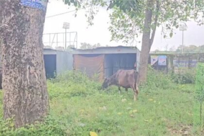 Hazaribagh: 100 shops converted into ruins after spending crores