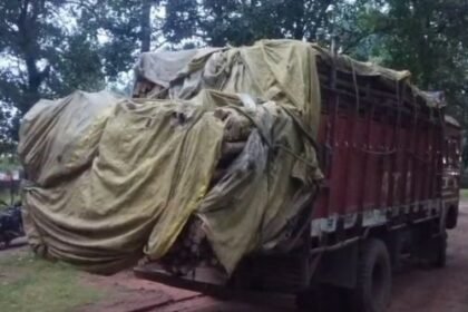 Wood smugglers active in Janakpur forest area