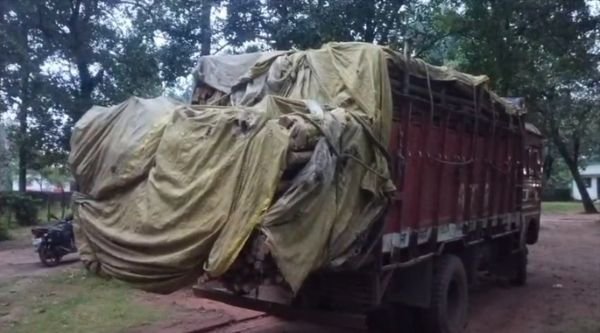 Wood smugglers active in Janakpur forest area