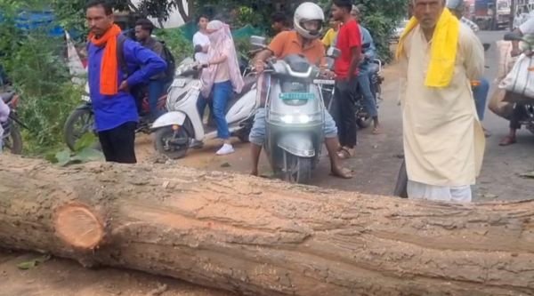 Negligence of Forest Department in Ambikapur, traffic disrupted for hours due to tree cutting