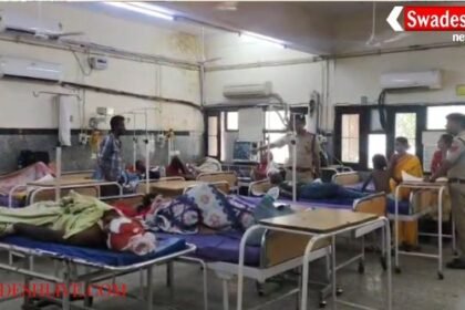 Elephant carrying devotees overturns in Panchkula, 1 dead, 26 injured