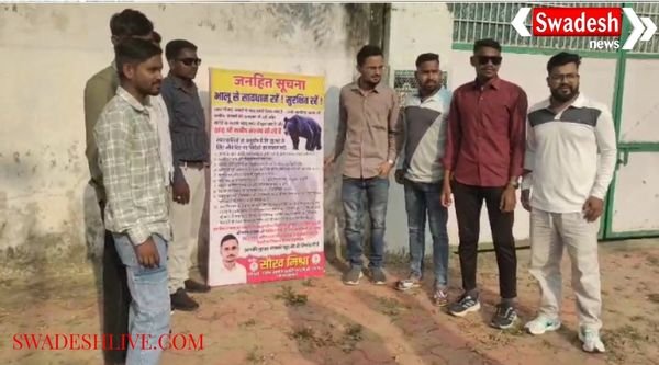 Bear attacks continue in MCB district, Congress targets Forest Department