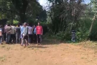 Marwahi: Panchayat secretary's body found hanging from a tree, suicide suspected
