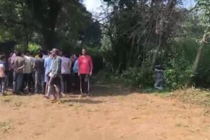 Marwahi: Panchayat secretary's body found hanging from a tree, suicide suspected