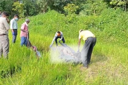 Rajim: Disclosure of the rotten dead body found in the field