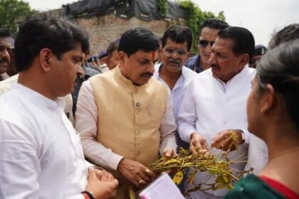 The state government is with the farmers, we will not let any kind of loss happen to the farmers: CM Dr. Yadav