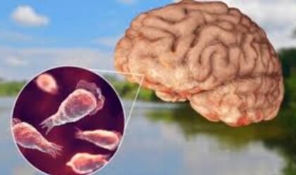 brain-eating-amoeba-kerala-19-deaths
